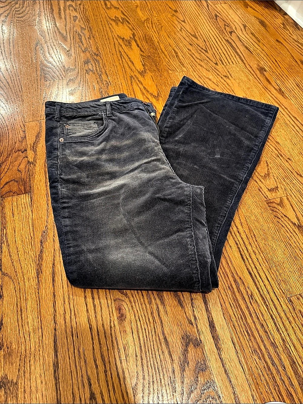 PILCRO Corduroy Straight Leg Pants in charcoal Waist 32
